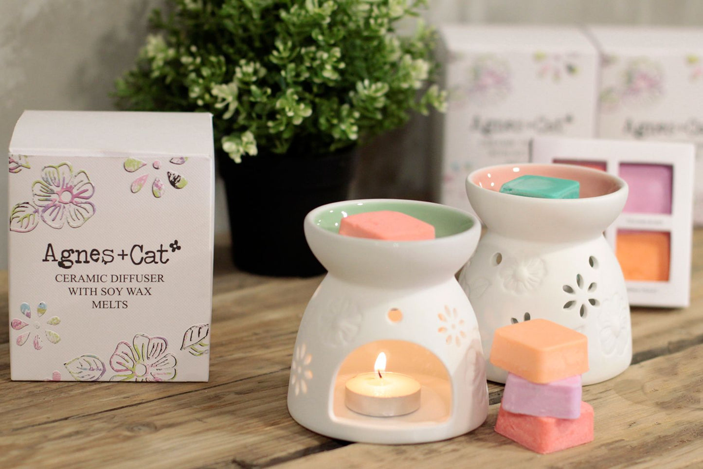 Wax Melter with Four Soy Wax Melts